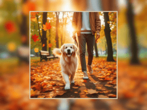 POV: Passeando com seu cachorro.